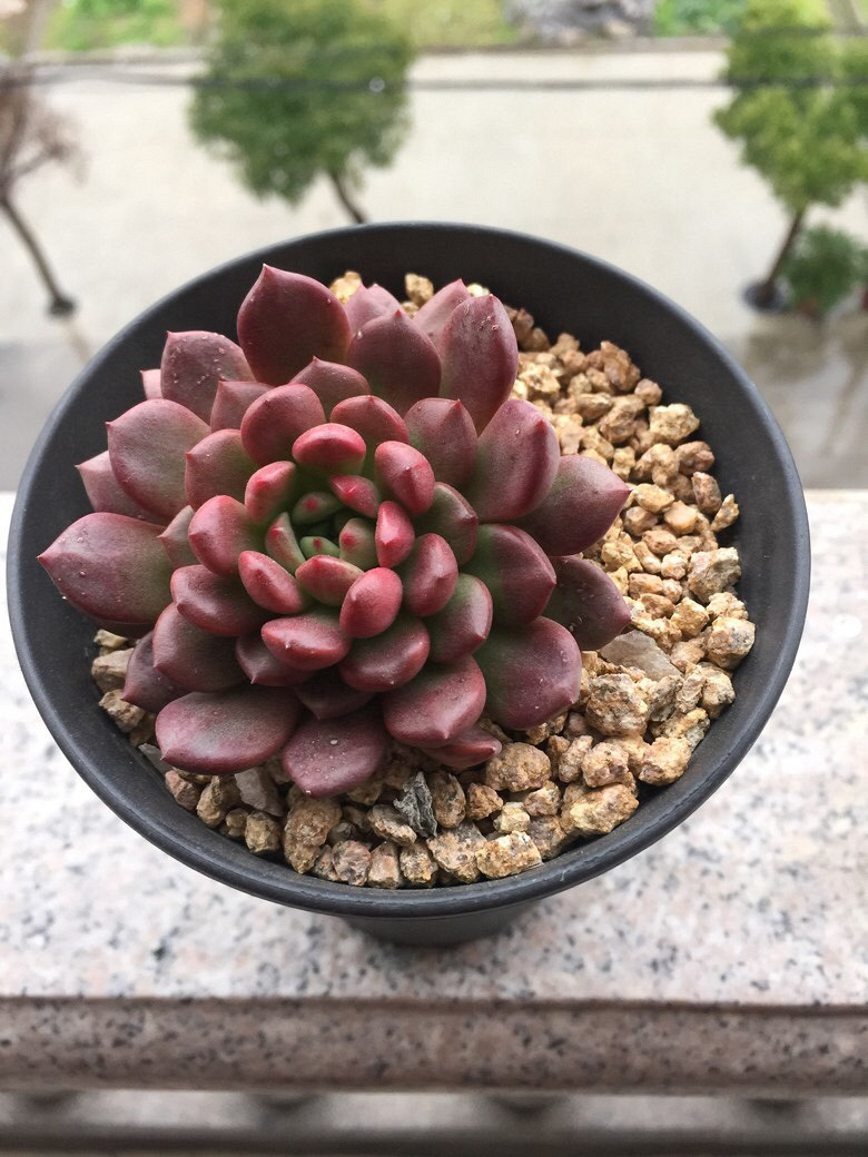 ���˴�ͼ����