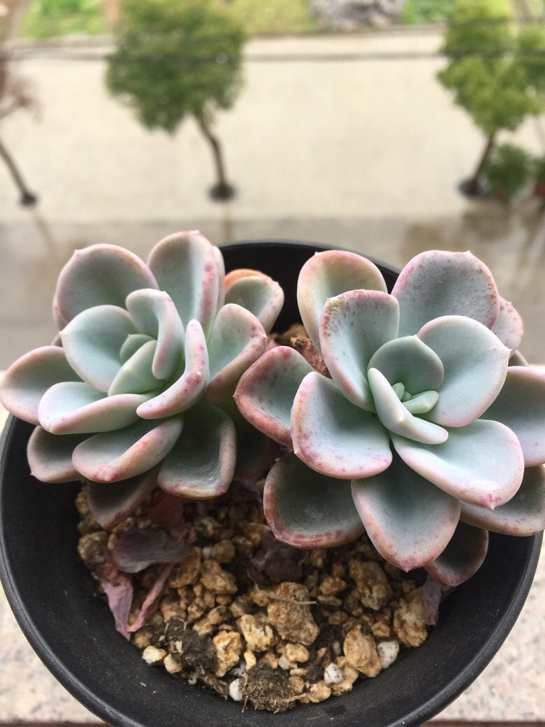 ���˴�ͼ����