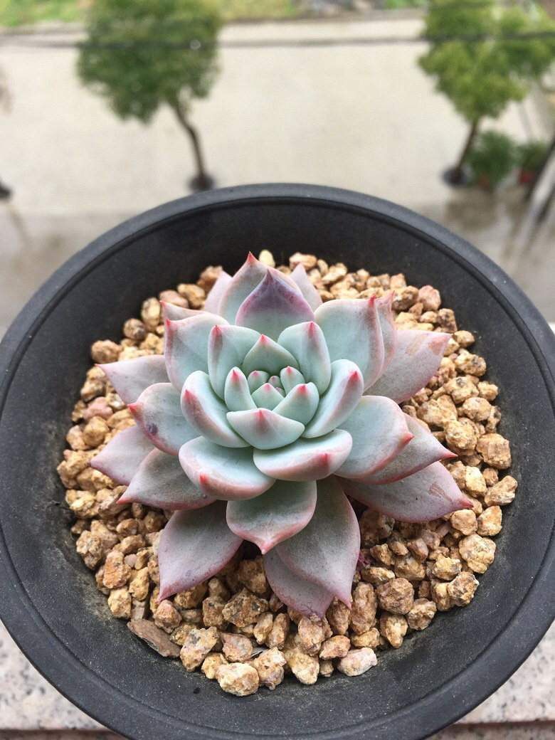 ���˴�ͼ����