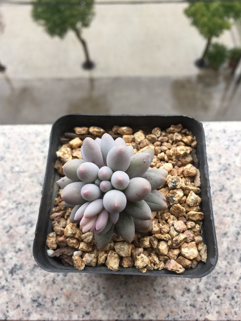 ���˴�ͼ����