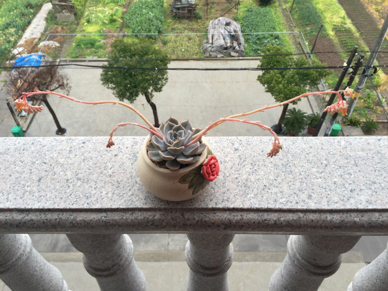 ���˴�ͼ����