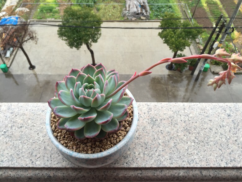 ���˴�ͼ����