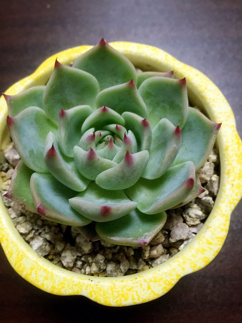 �����˼���