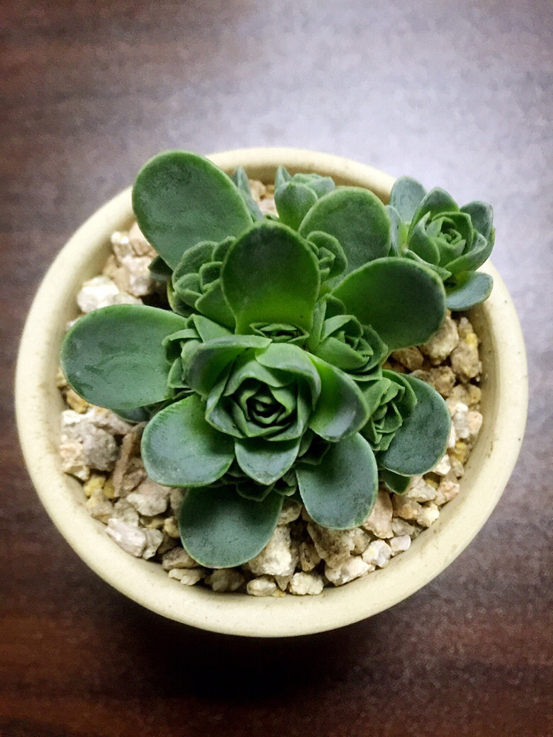 �����˼���