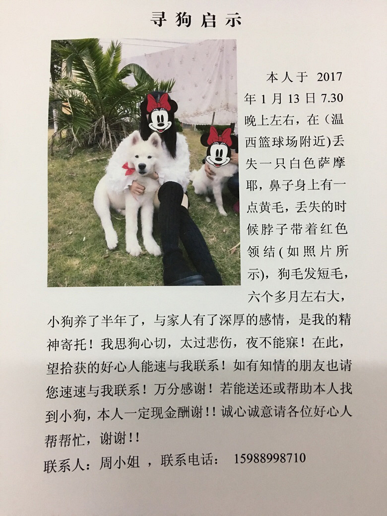 Ѱ����ʾ   �������㽭̨���������򳡸�����ʧһֻ��ĦҮ