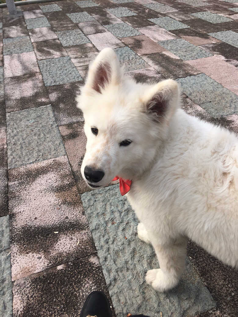 Ѱ����ʾ   �������㽭̨���������򳡸�����ʧһֻ��ĦҮ