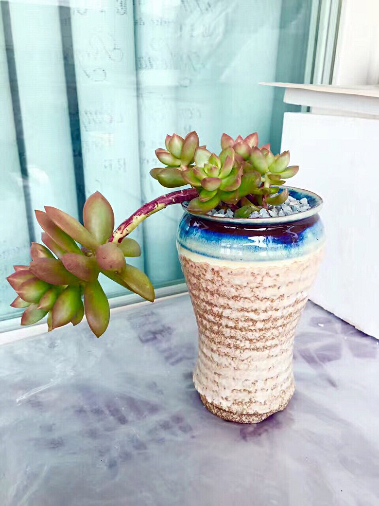 ɹɹ�Ҽ������³�Ա