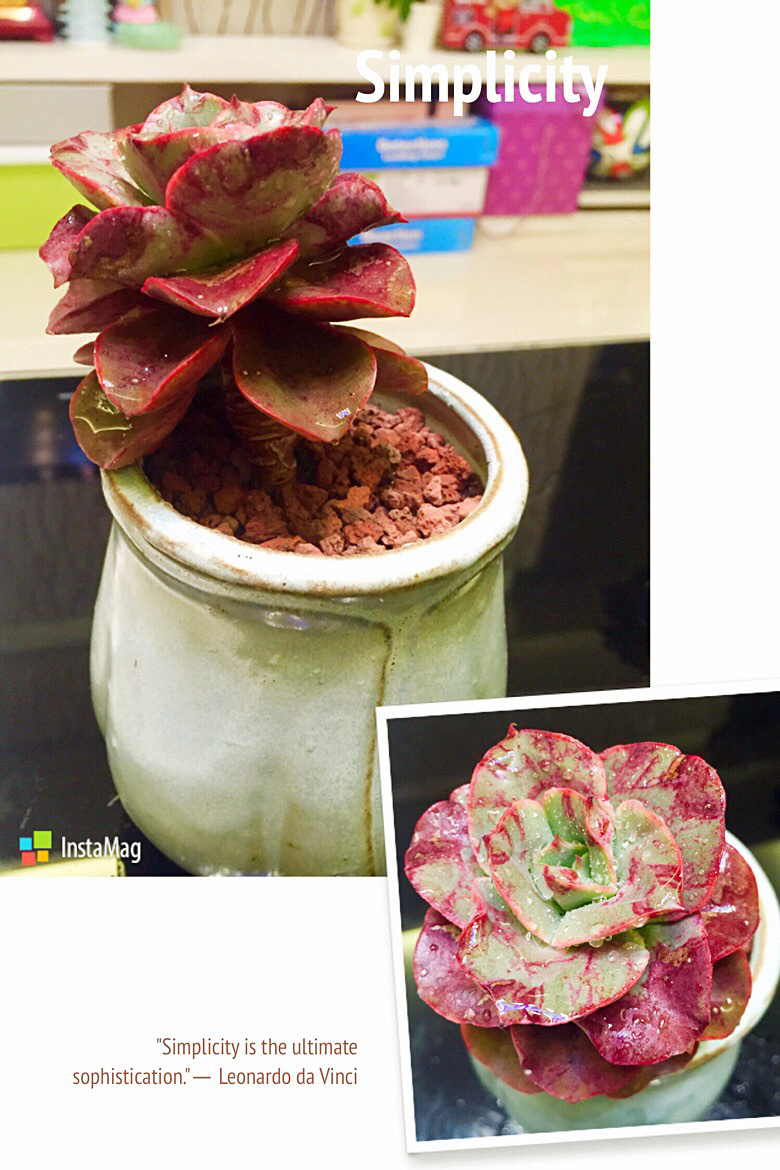 ɹɹ�Ҽ������³�Ա