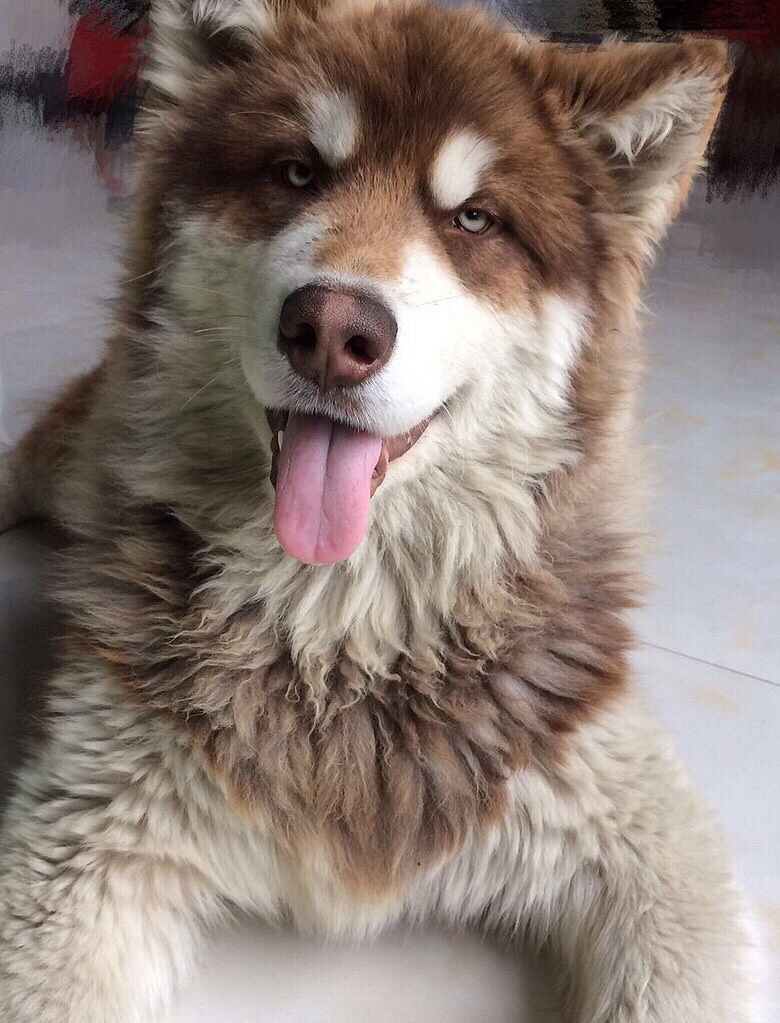 ��Ǽܰ���˹�ӻ�����