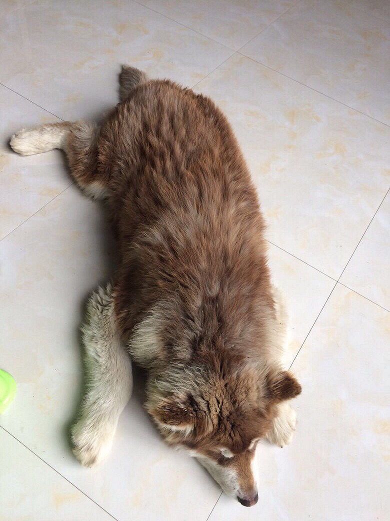 ��Ǽܰ���˹�ӻ�����