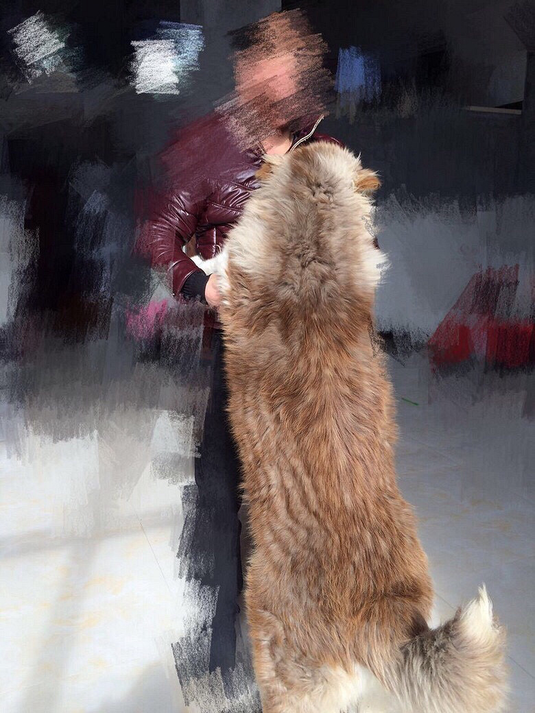 ��Ǽܰ���˹�ӻ�����