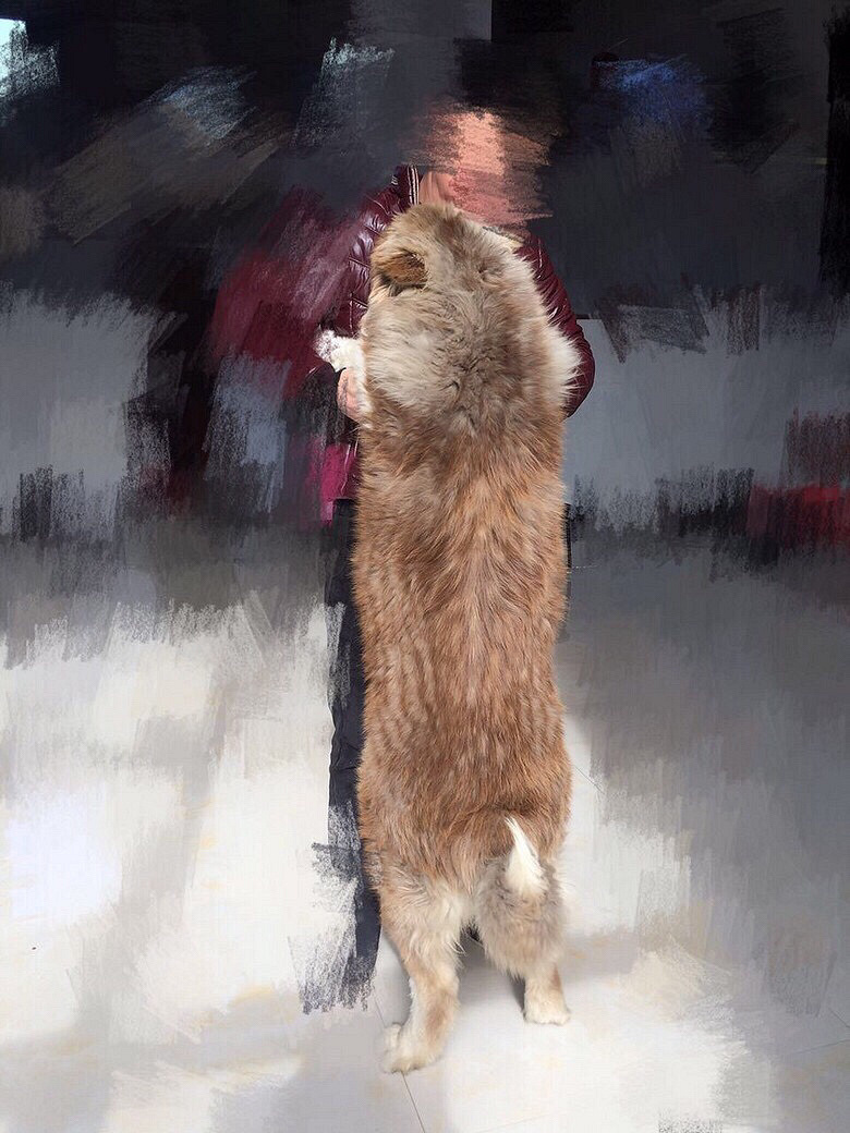 ��Ǽܰ���˹�ӻ�����