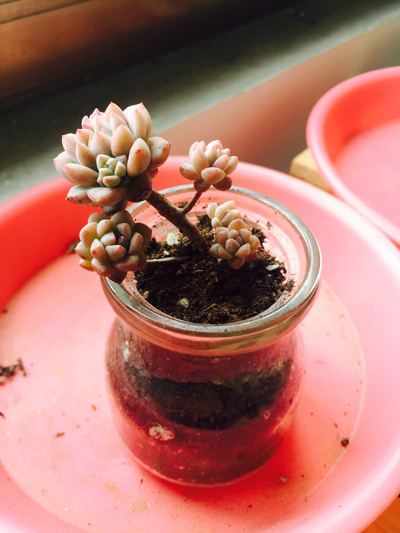 �簲���ҵ�С������