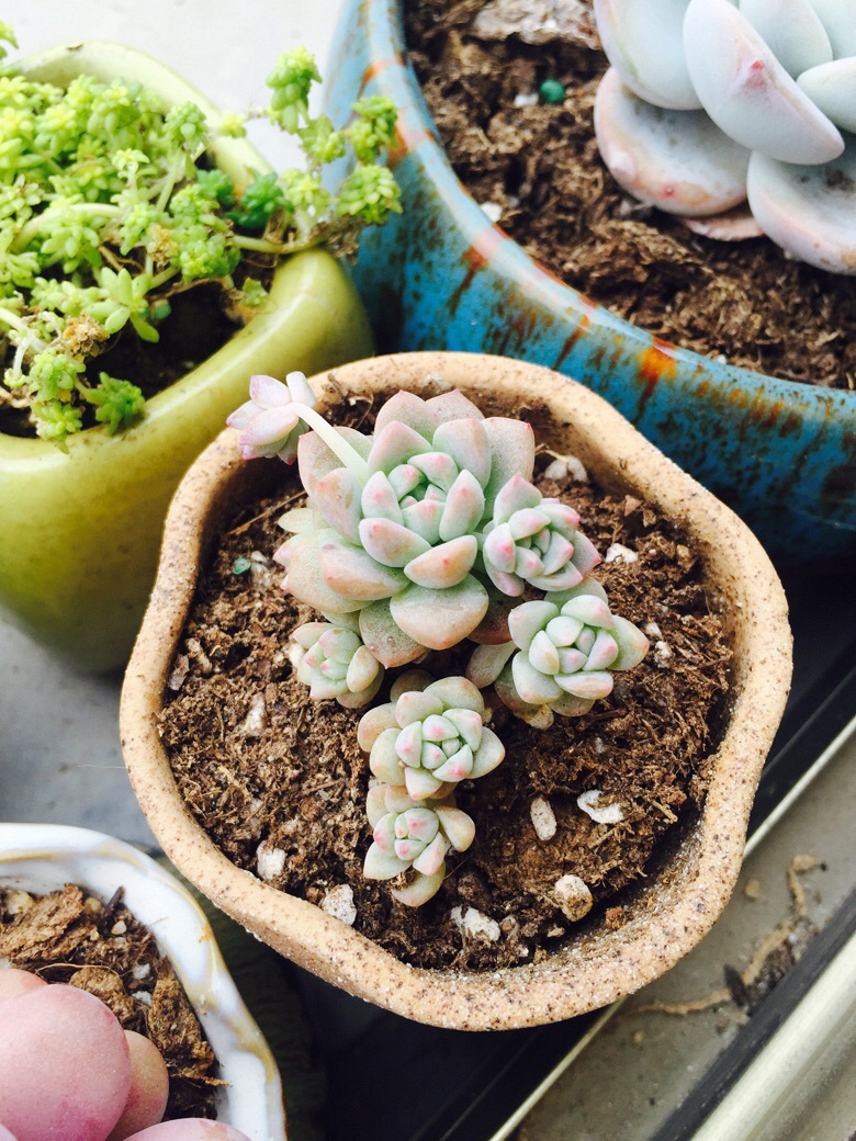 �簲���ҵ�С������