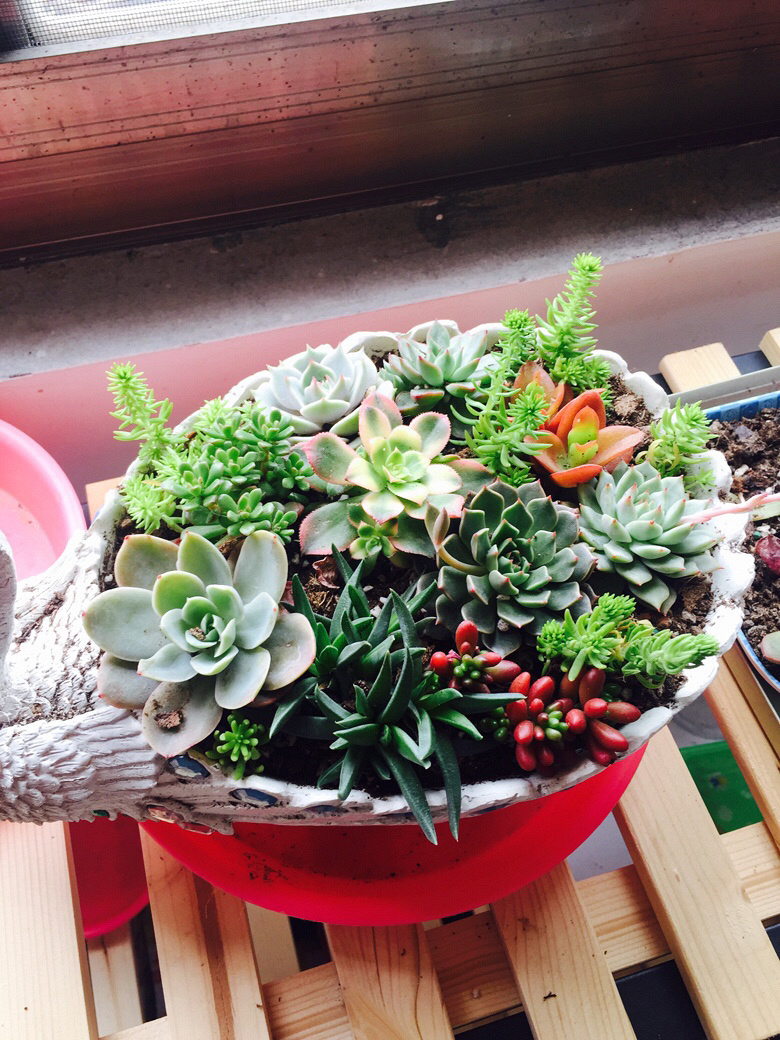 �簲���ҵ�С������