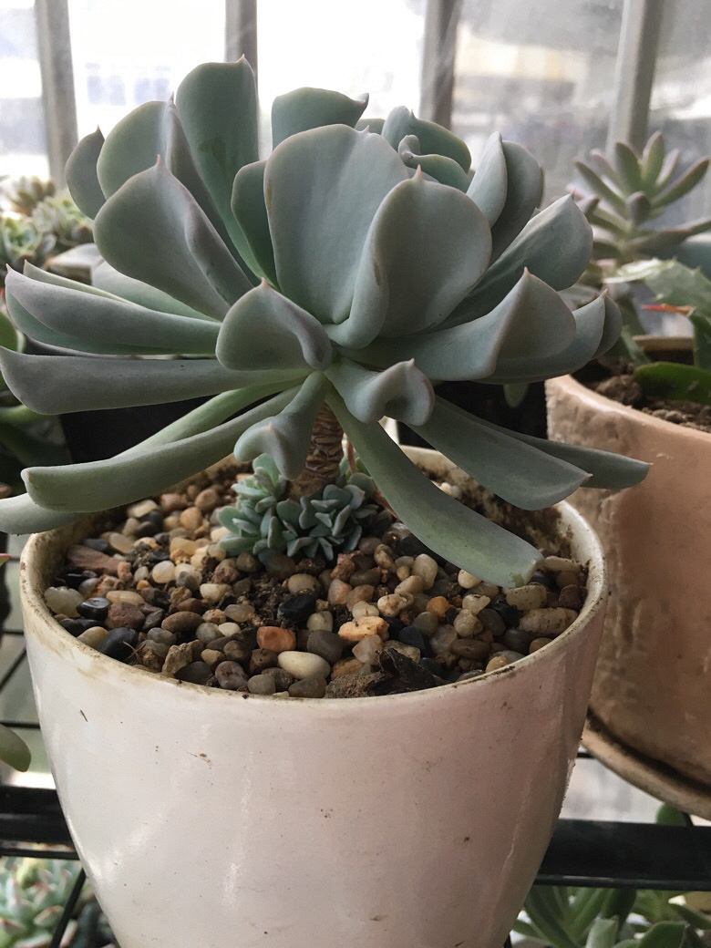 ��ҵ�������