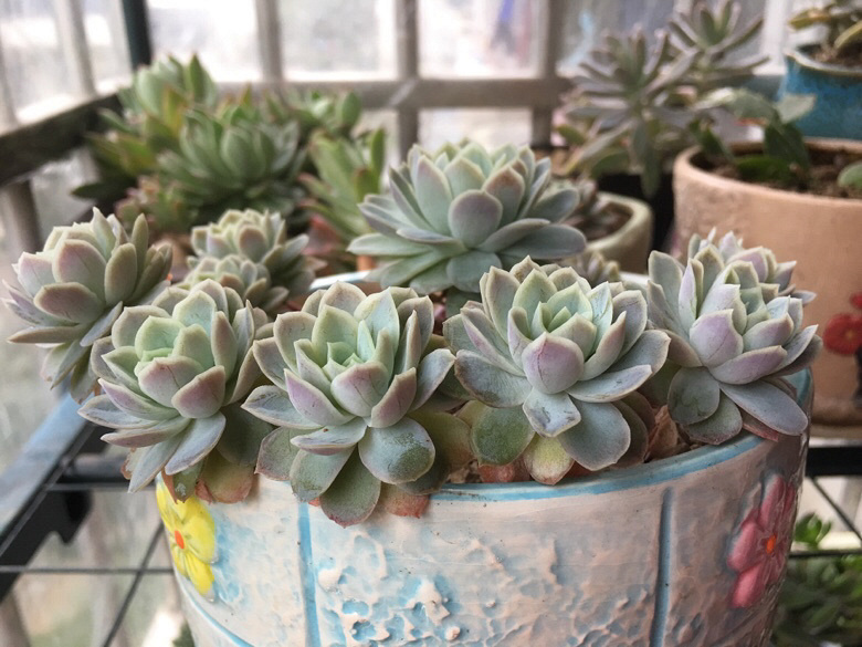 ��ҵ�������