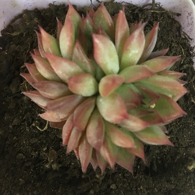 ��ҵ�������