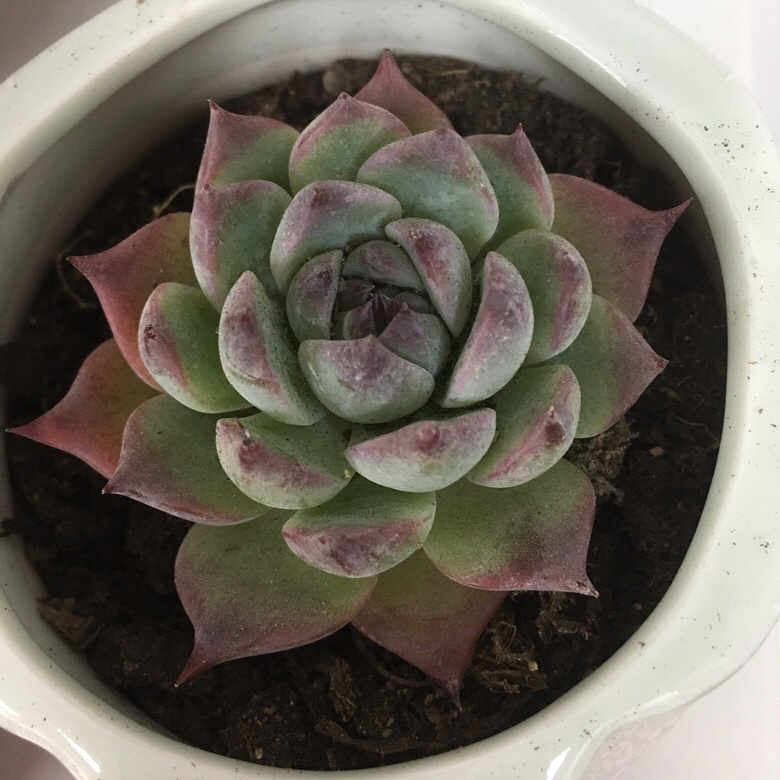 ��ҵ�������