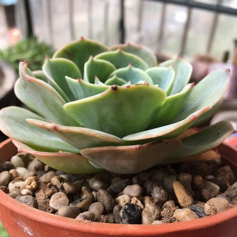 ��ҵ�������