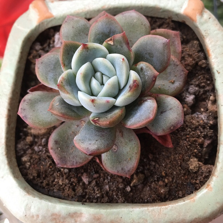 ��ҵ�������