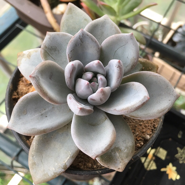 ��ҵ�������