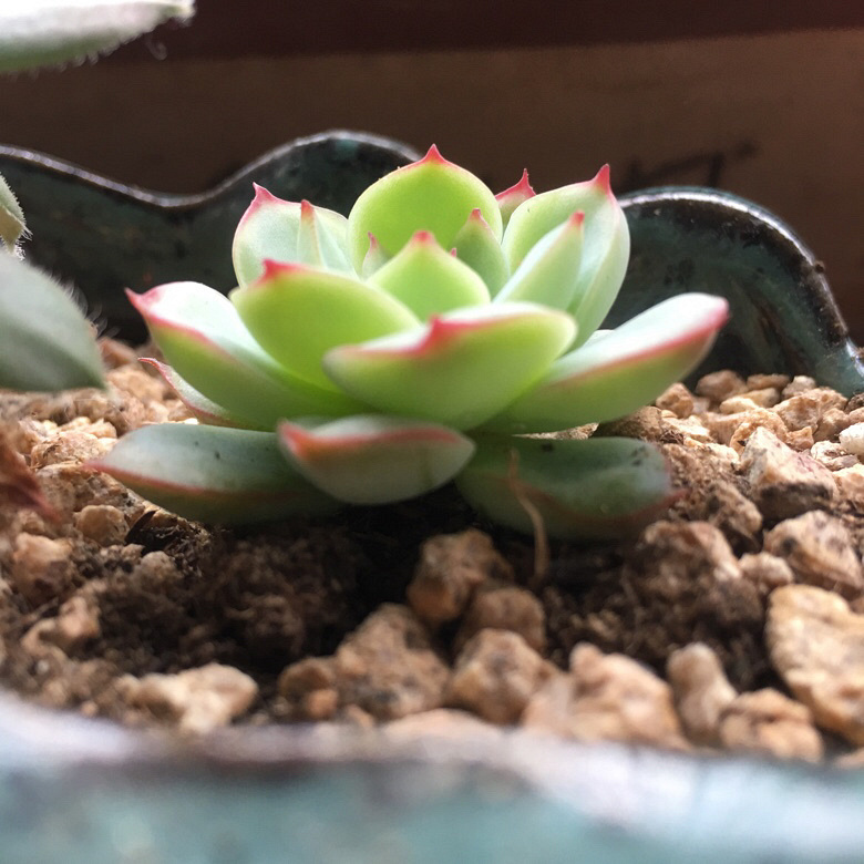 ��ҵ�������