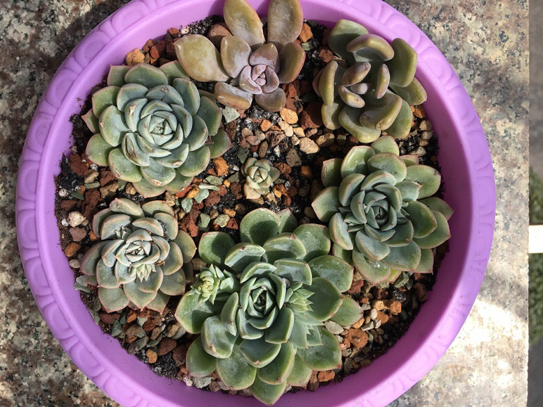 ����������µ��� ľ��̫������ ��֪���ܲ��ܻ���