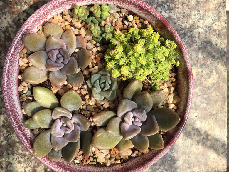 ����������µ��� ľ��̫������ ��֪���ܲ��ܻ���