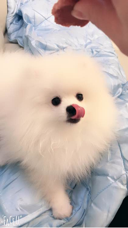 �����˲�����������̫Ƥ��ҧ�����ҽв�����