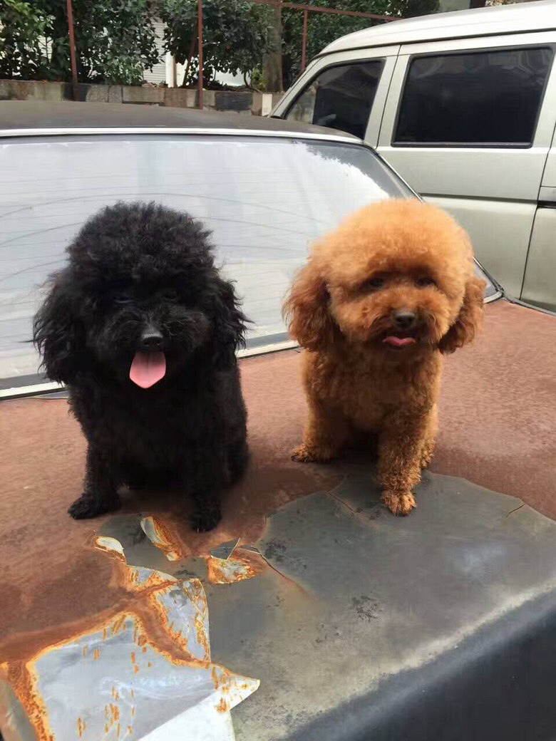 @�����ˣ�Ѱ����ʾ����������������5�㣨