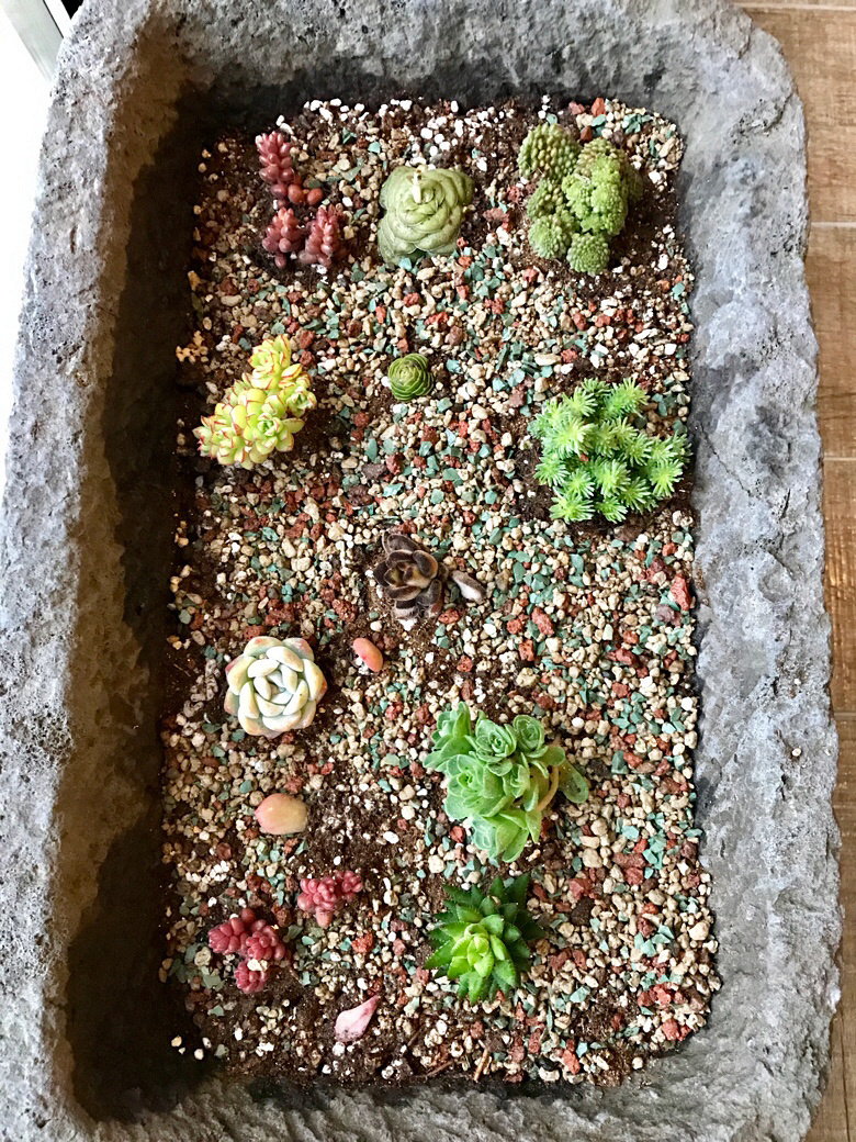 ��������