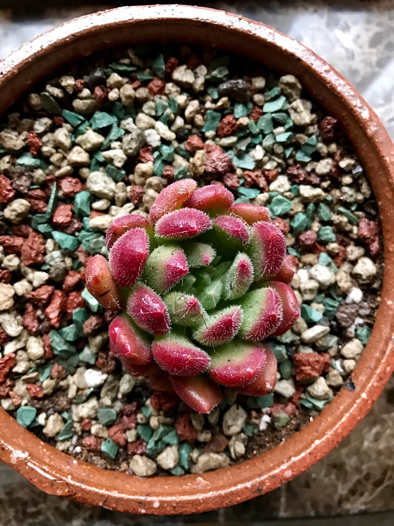 ��������