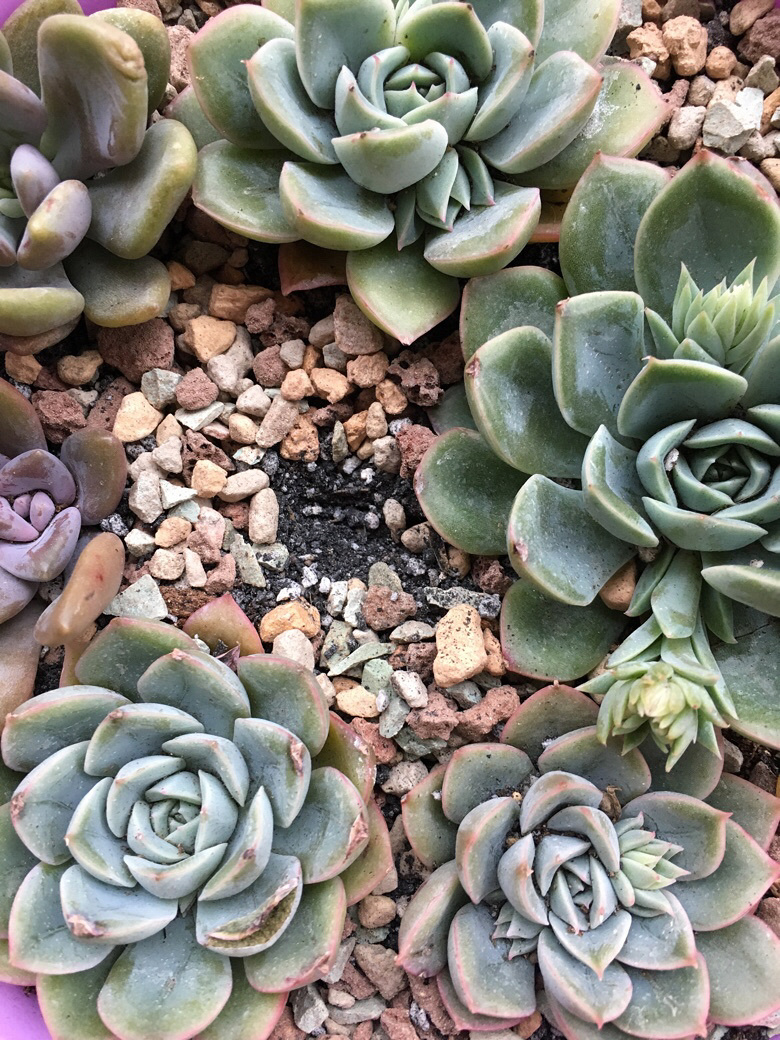 ����һ�˻������⣡