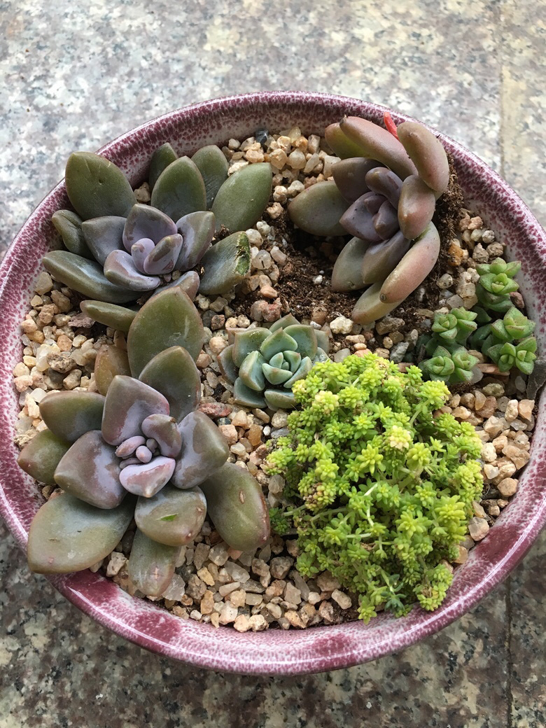 ����һ�˻������⣡