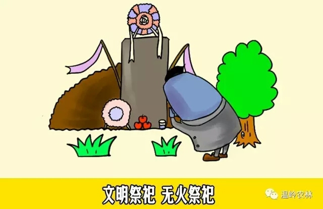 明起20天为森林禁火期,清明扫墓别做这些事!