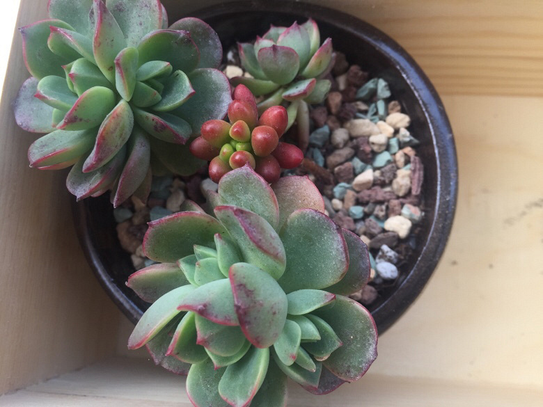 �������ã�΢�粻�룬����ɹɹ