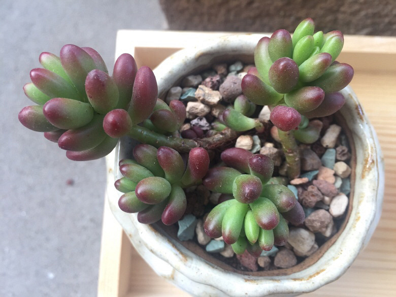 �������ã�΢�粻�룬����ɹɹ