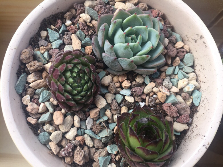 �������ã�΢�粻�룬����ɹɹ