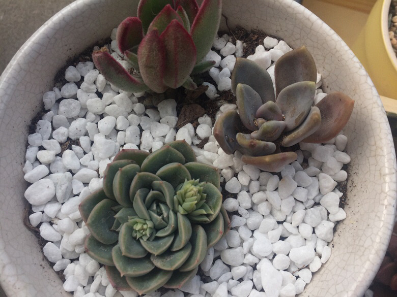 �������ã�΢�粻�룬����ɹɹ