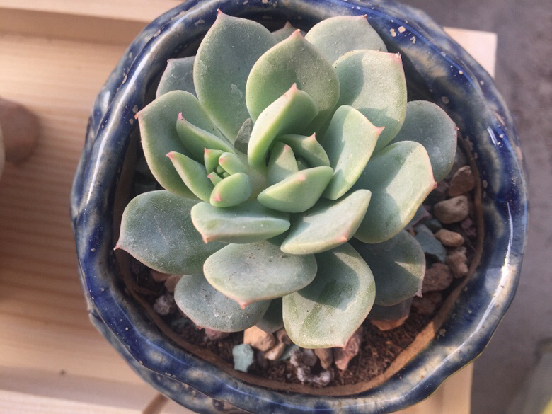 �������ã�΢�粻�룬����ɹɹ