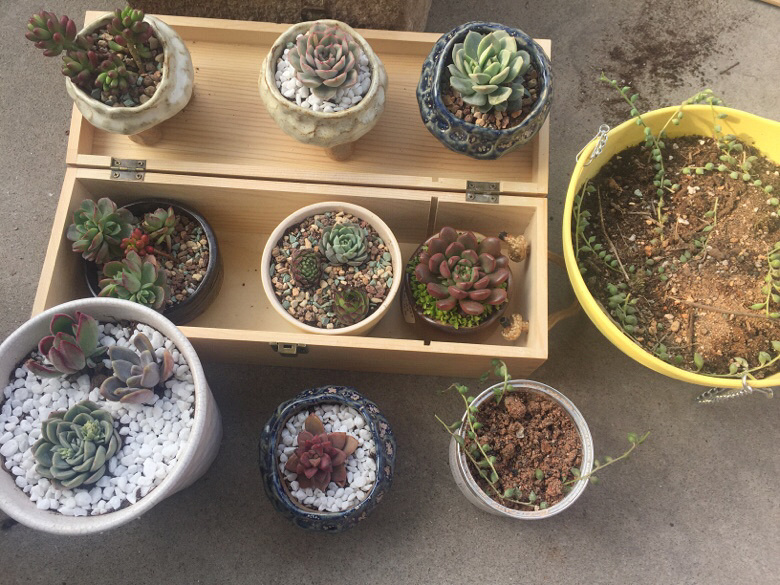 �������ã�΢�粻�룬����ɹɹ