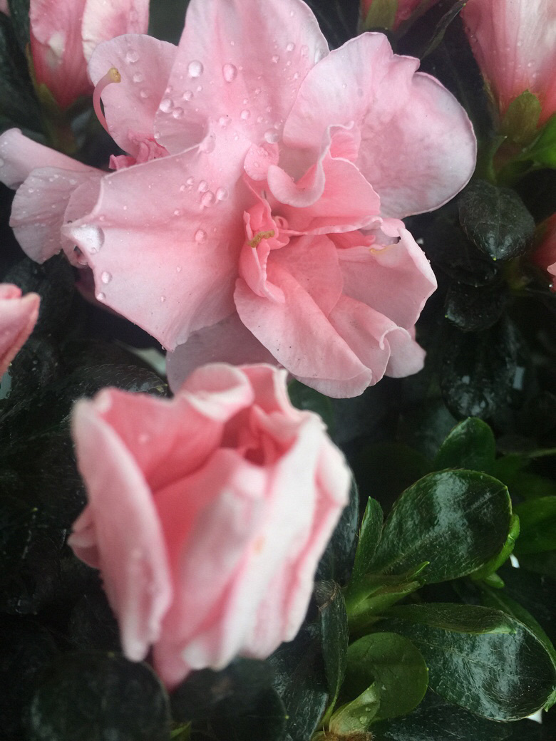 �⼸�컨��ή�ˣ���ѯ�˻��ѣ���֪����ȱˮ