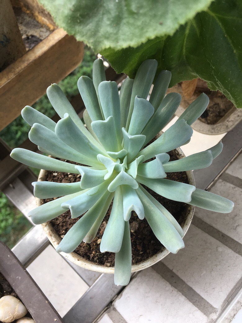 ������������