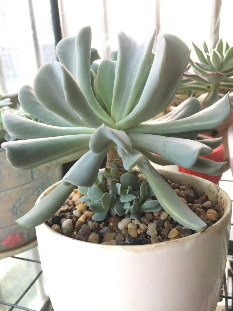 ������������