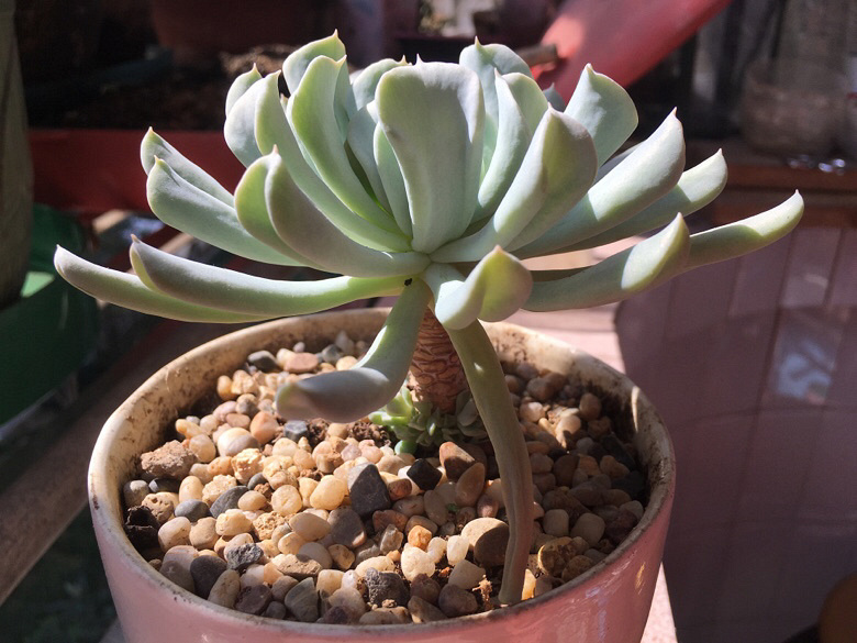 ������������