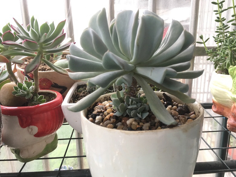 ������������