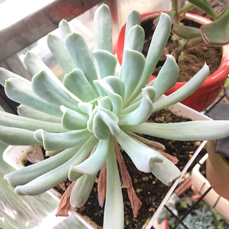 ������������