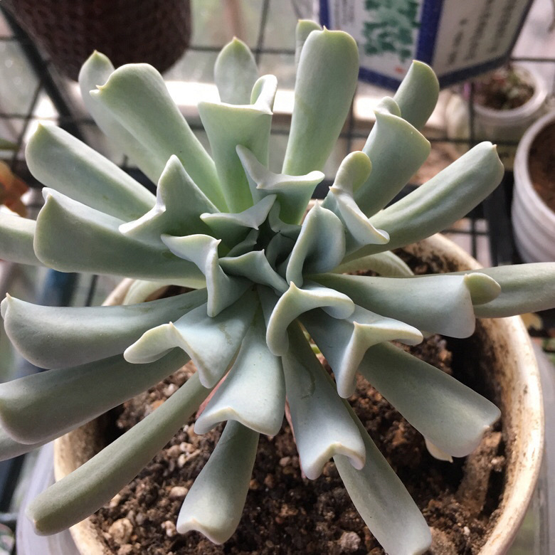 ������������