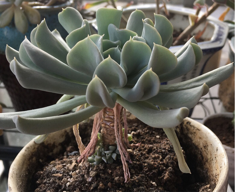 ������������